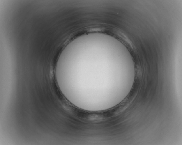 X0000113250549200909100945