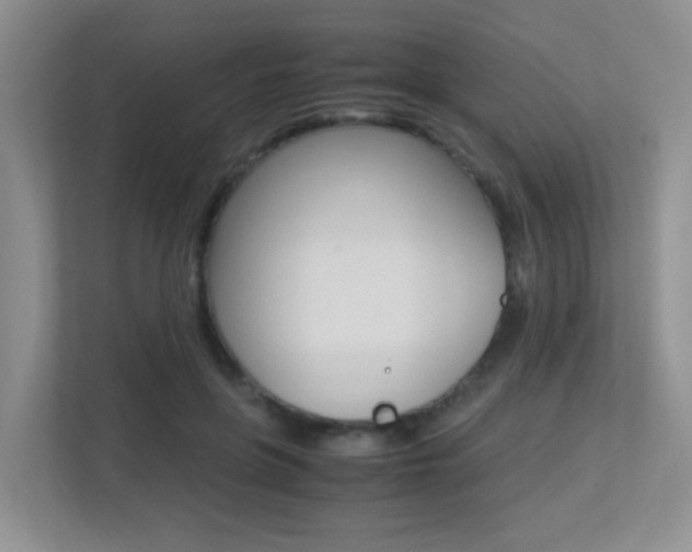 X0000113250551200909100945