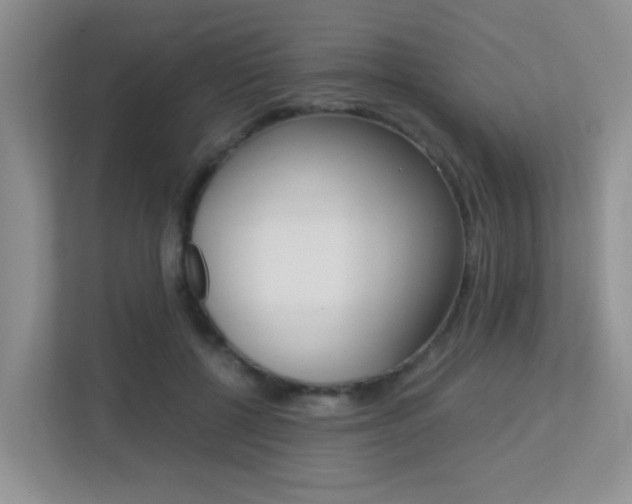 X0000113250552200909100945