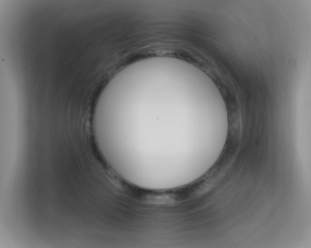 X0000113250553200909100945
