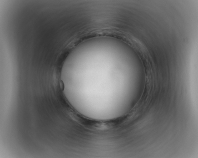 X0000113250558200909100945