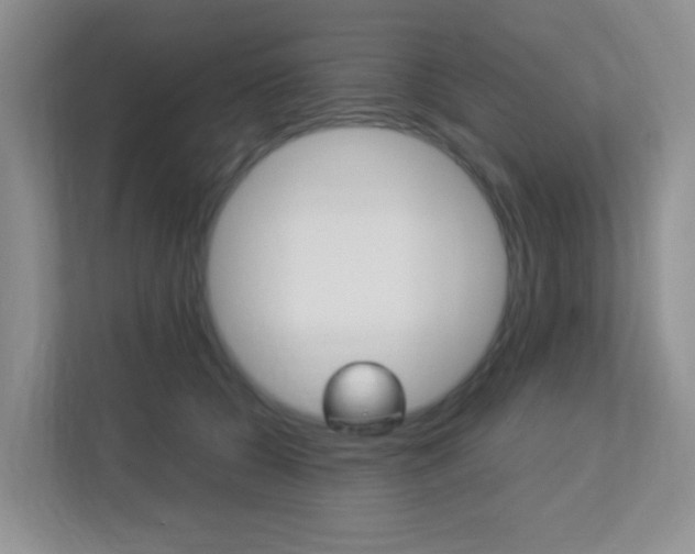 X0000113250560200909100945
