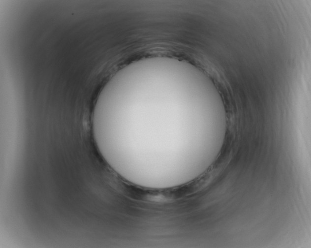 X0000113250561200909100945