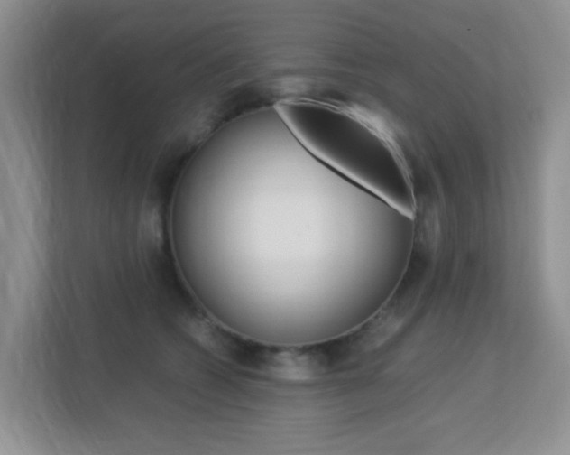 X0000113250562200909100945