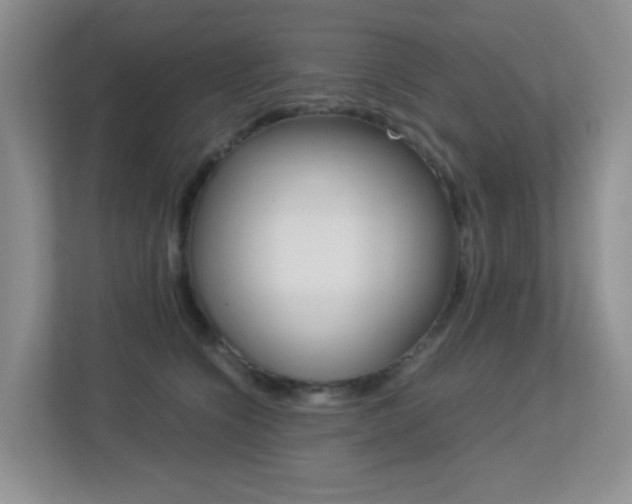X0000113250564200909100945
