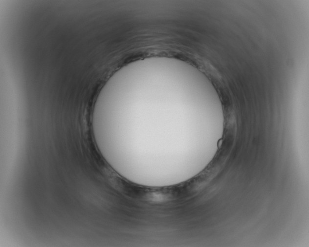 X0000113250565200909100945