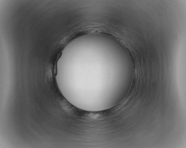 X0000113250570200909100945
