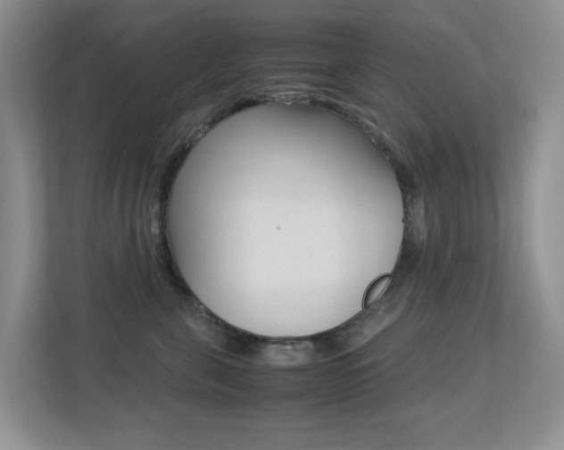 X0000113250571200909100945