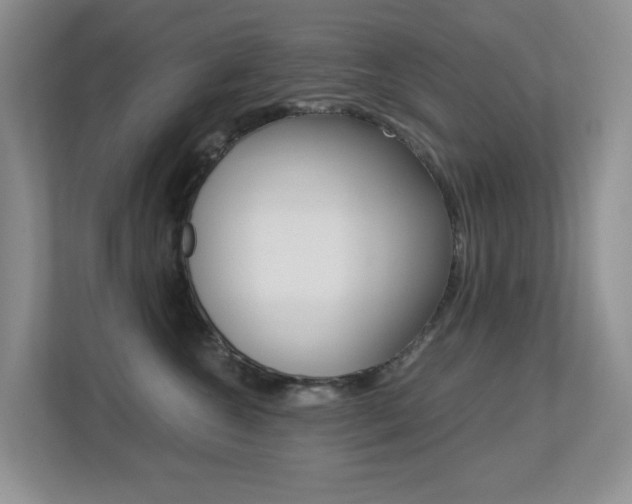 X0000113250572200909100945