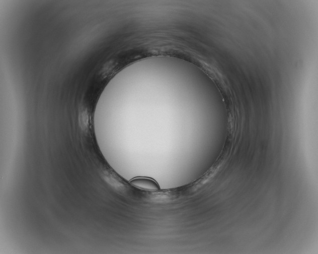 X0000113250574200909100945