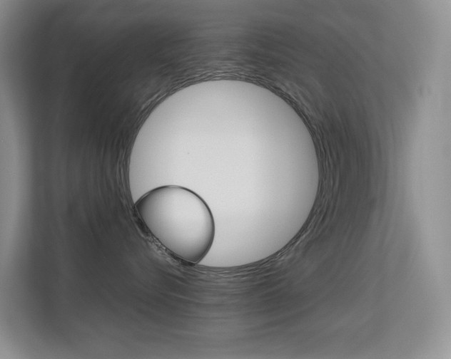 X0000113250576200909100945
