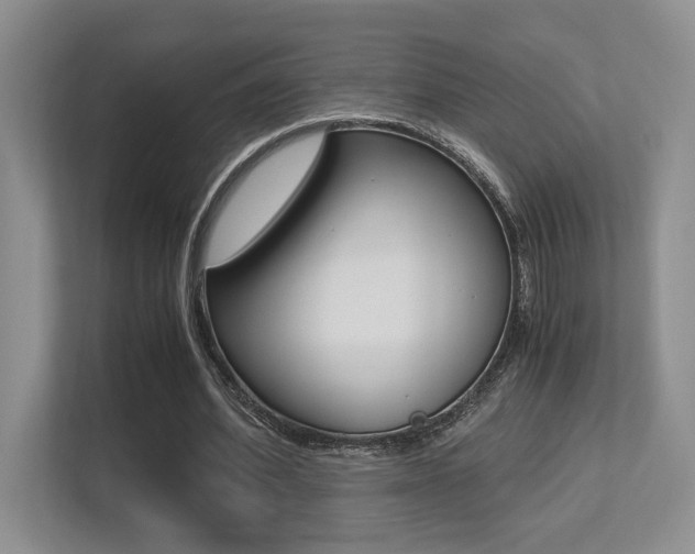 X0000113250580200909100944
