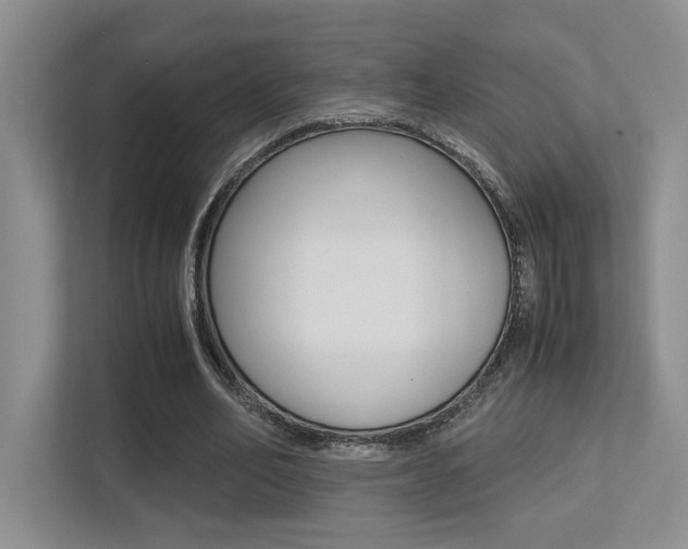 X0000113250582200909100944