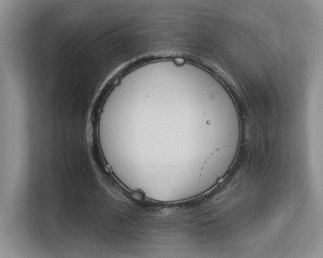 X0000113250584200909100944