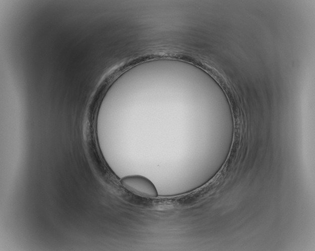 X0000113250587200909100944
