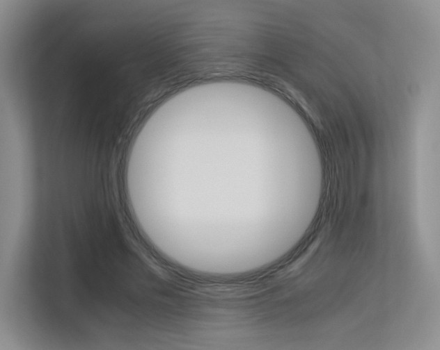 X0000113250589200909100944