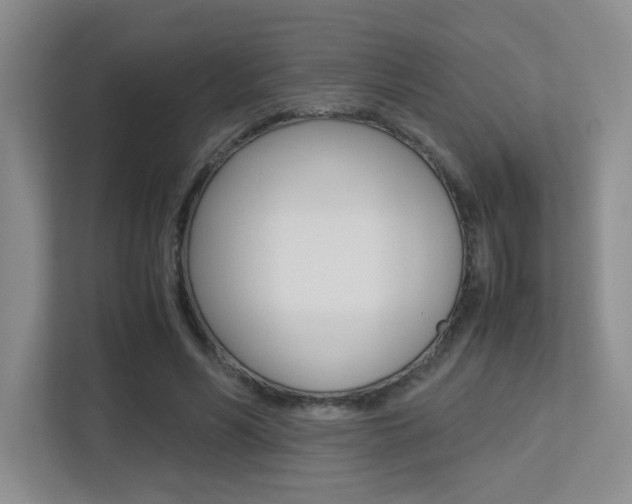 X0000113250590200909100944