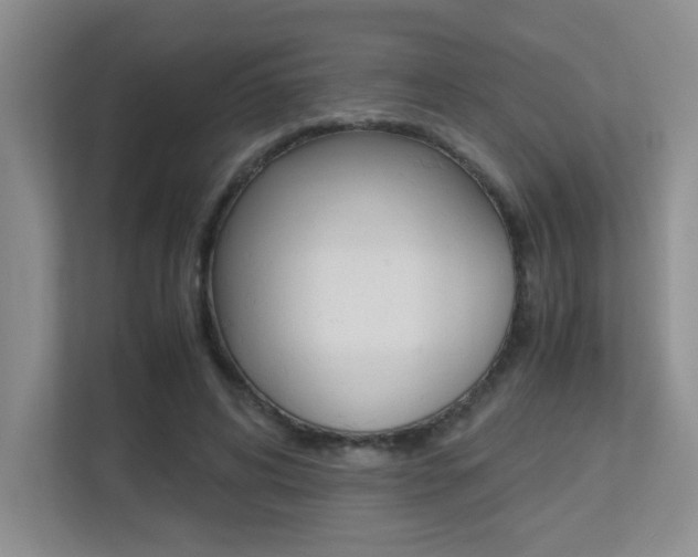 X0000113250592200909100944