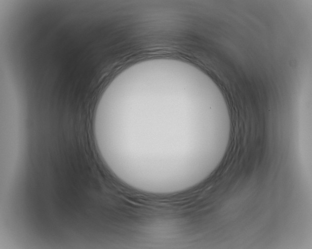 X0000113250595200909100944
