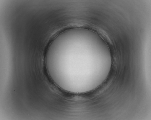 X0000113250596200909100944