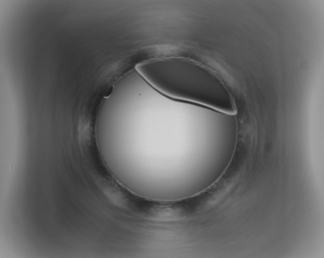 X0000113250597200909100944