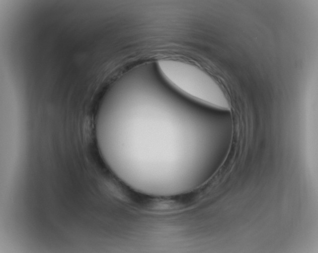 X0000113250605200909100944