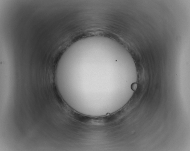 X0000113250606200909100944