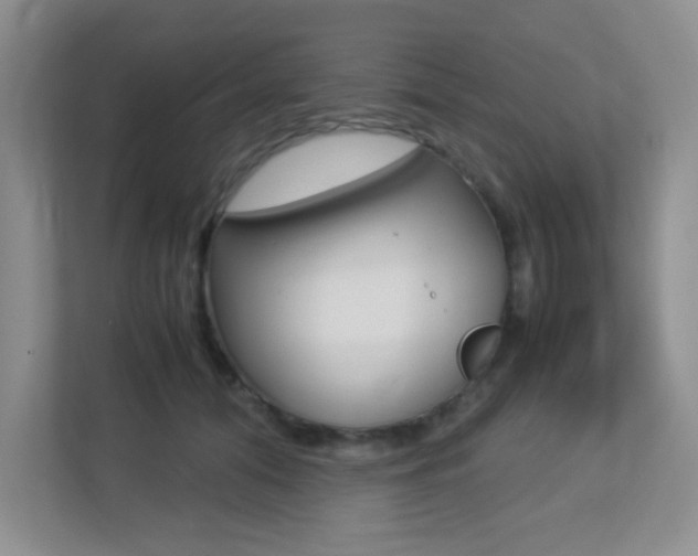 X0000113250608200909100944