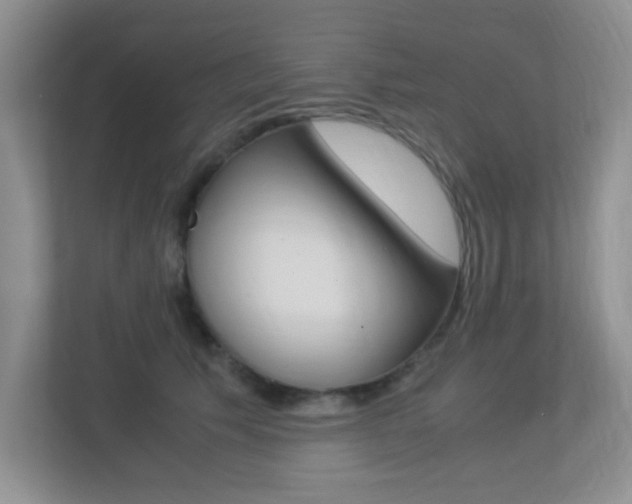 X0000113250609200909100944