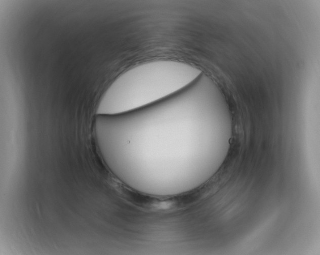 X0000113250610200909100944