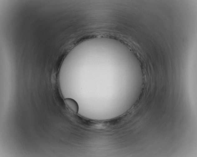 X0000113250611200909100944