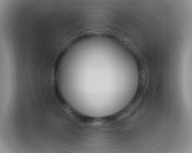 X0000113250612200909100944