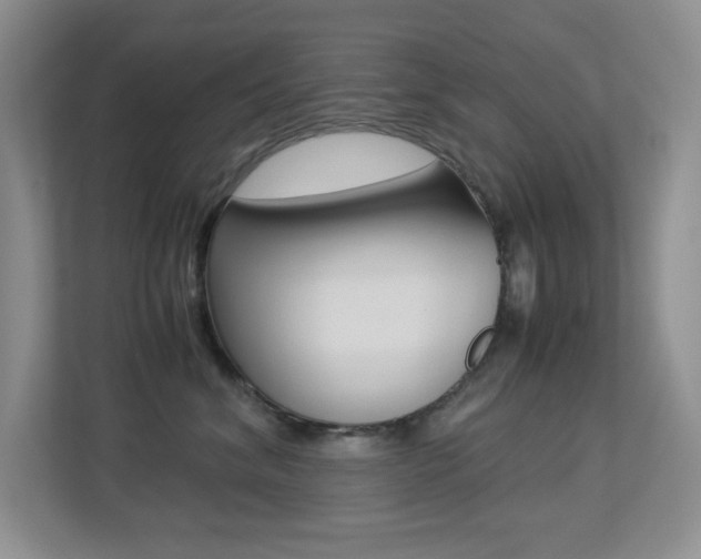 X0000113250620200909100944