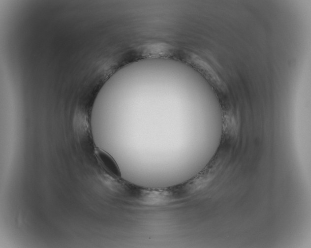 X0000113250621200909100944