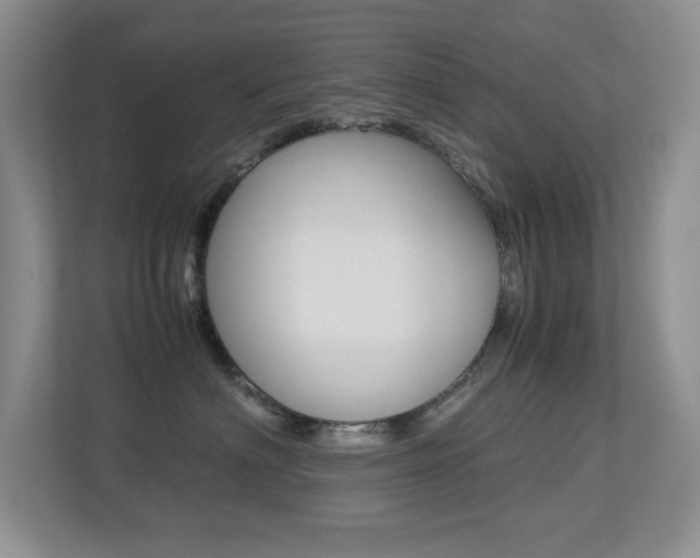 X0000113250622200909100944