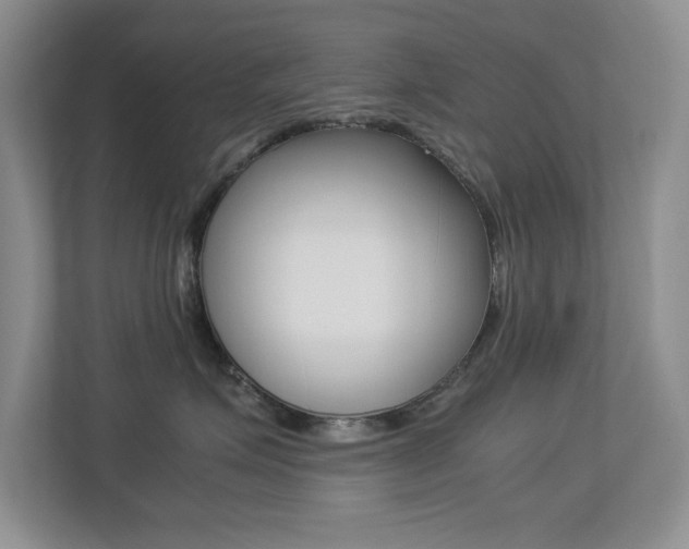 X0000113250623200909100944