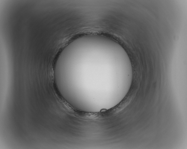 X0000113250624200909100944