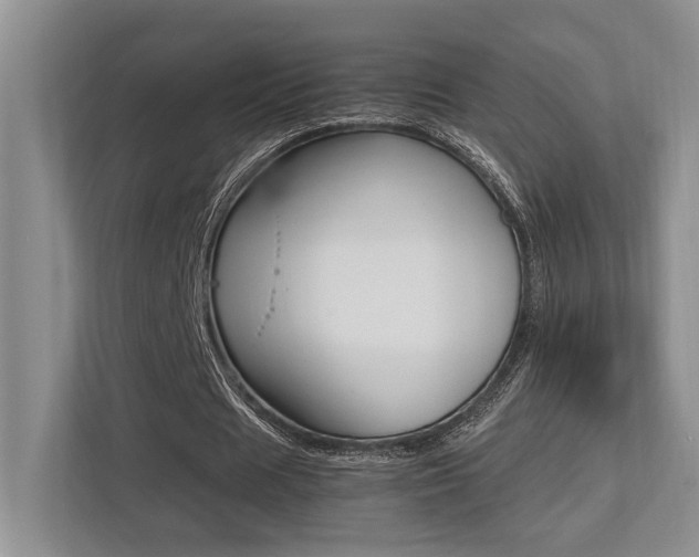 X0000113250625200909100943