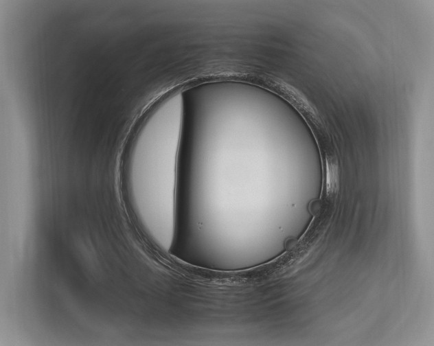X0000113250627200909100943