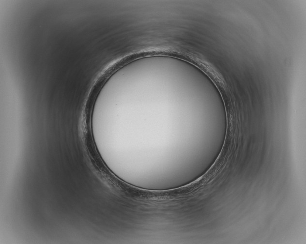 X0000113250628200909100943