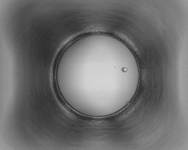 X0000113250629200909100943