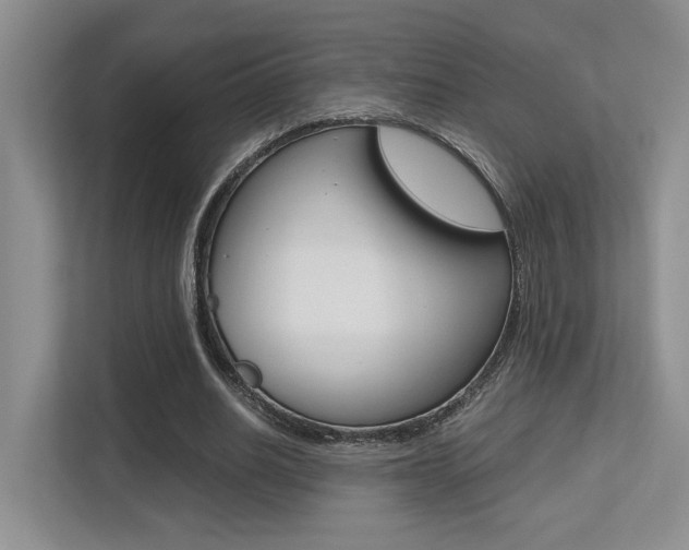 X0000113250630200909100943
