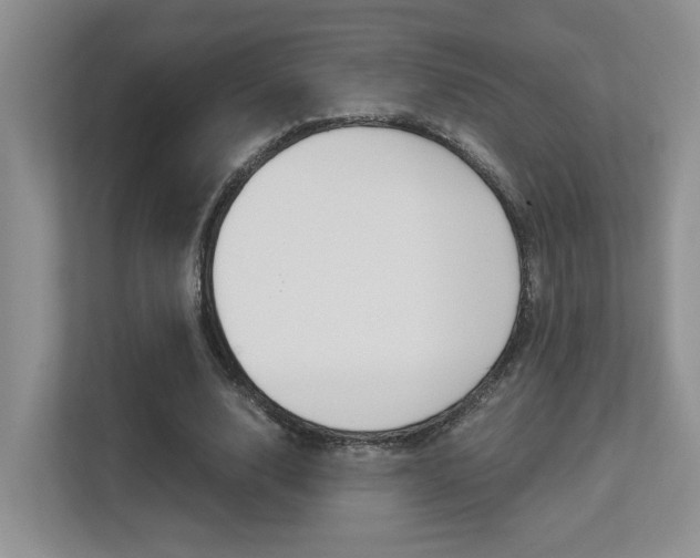 X0000113250632200909100943