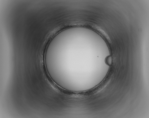 X0000113250633200909100943