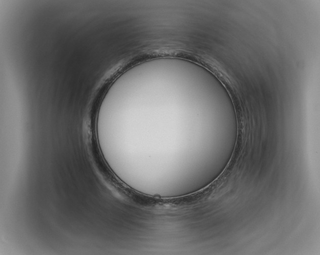 X0000113250634200909100943