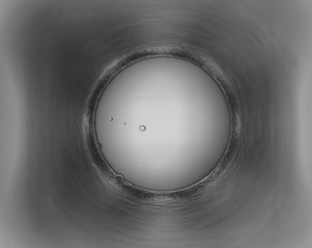 X0000113250636200909100943