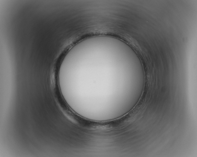 X0000113250638200909100943