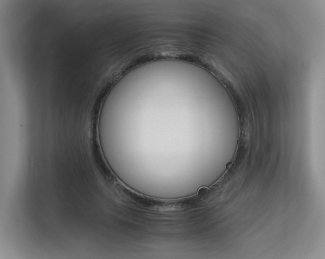 X0000113250639200909100943