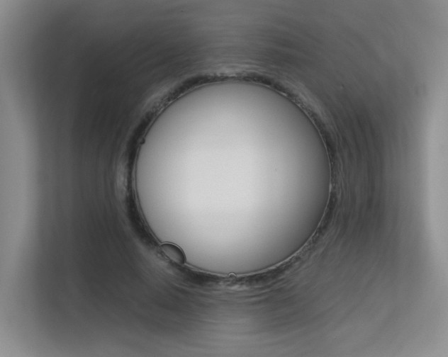 X0000113250640200909100943
