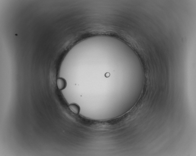 X0000113250642200909100943